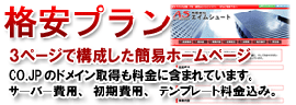 格安プラン
