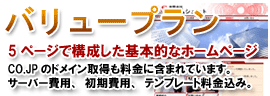 バリュープラン